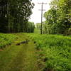 Power line cut on the end of White Trail.