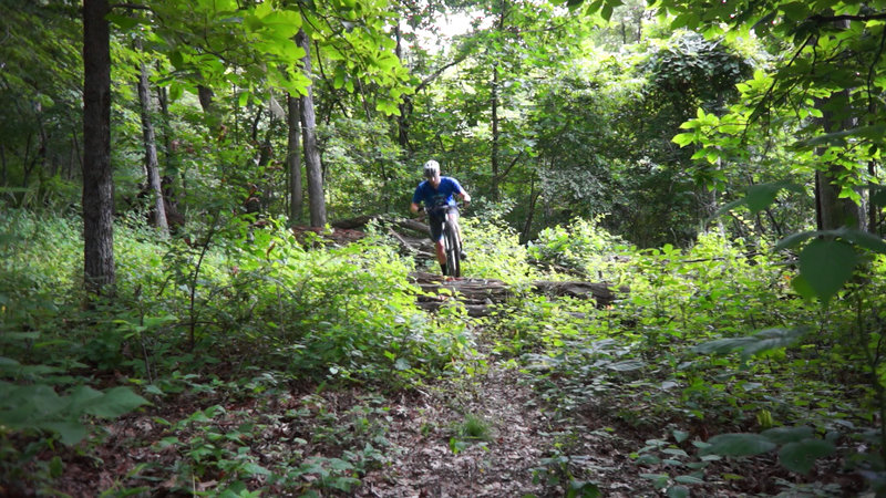 Over the first large log jump.