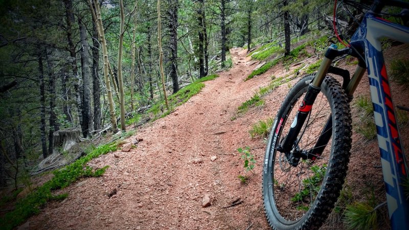 Flowing singletrack along 626.