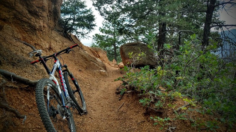 Wonderful singletrack along upper Buckhorn!