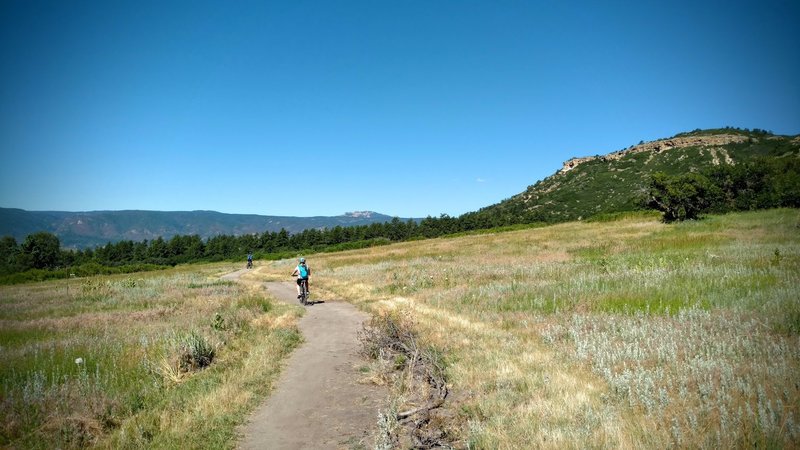 Flowing singletrack ideal for young riders.