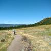 Flowing singletrack ideal for young riders.