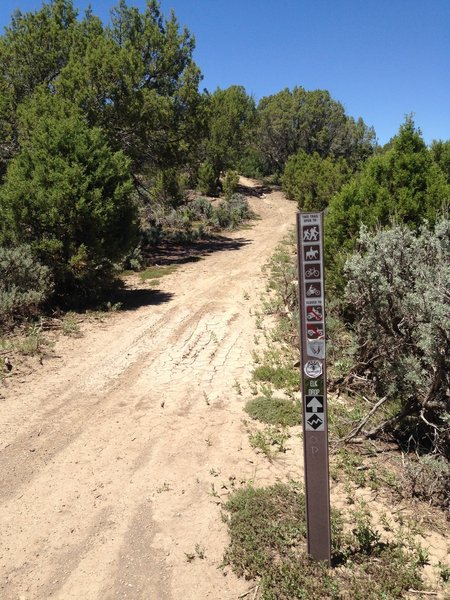 Start of the Elk Drop / Fast Times Trail.