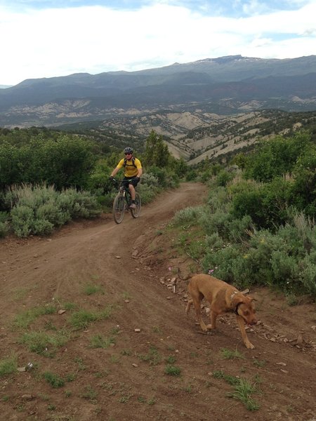 Finishing up the Tick Alley Climb