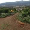 Finishing up the Tick Alley Climb