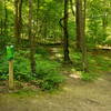 Purple trail crosses over the 13th hole on the way up the hill.