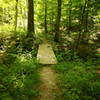 Bridge starts over creek on the Purple Blaze Trail.