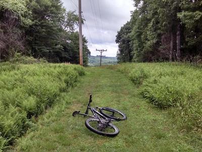 Enter by following the powerline out.