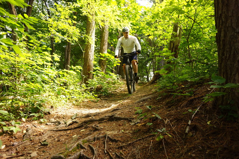 A steep downhill that goes to the disc course parking lot.