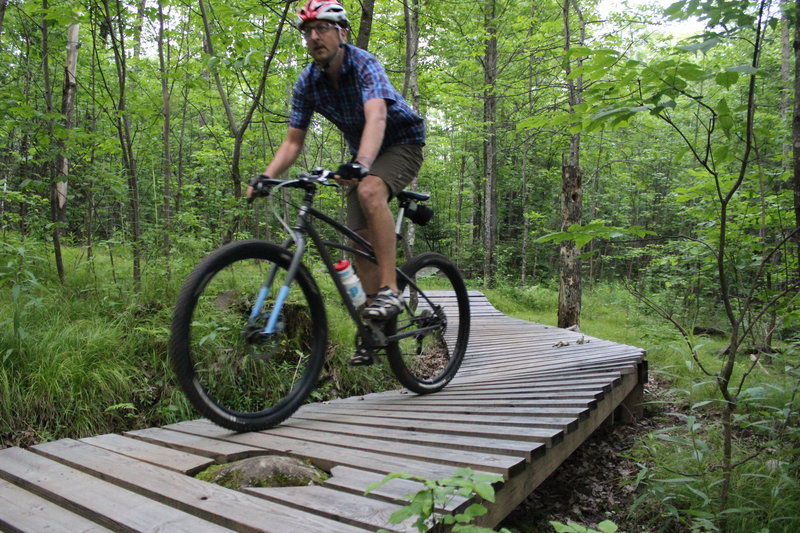 Bridge Trail boardwalk