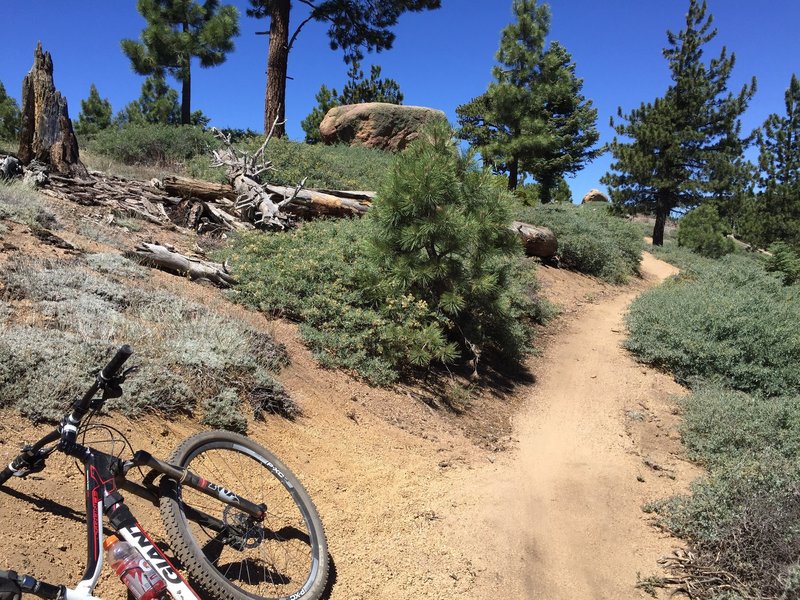 Most of the trail is pretty smooth.