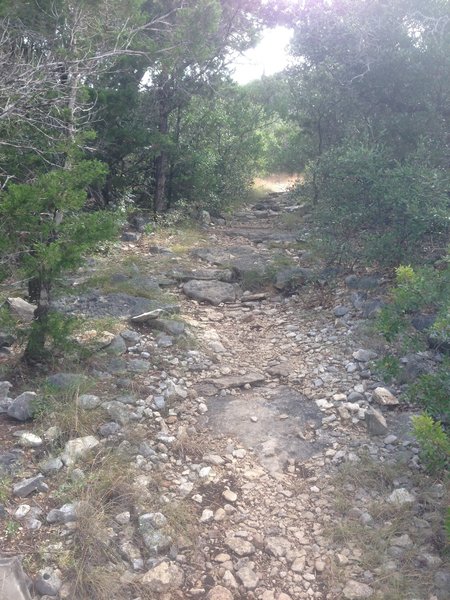 Typical GCSNA escarpment along Twin Oaks.