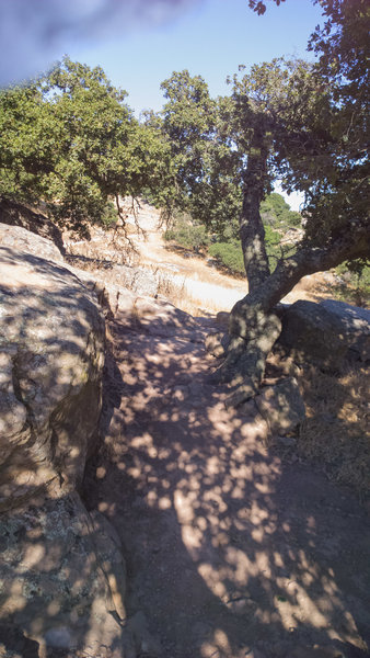 Looking down the descent off a small drop off.