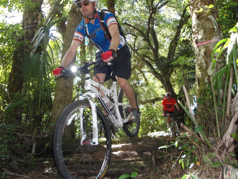 One of many log overs on the return trail back to the bike parking lot.