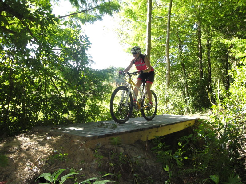 Kite Flight is a more technical trail that is along a old farming berm.