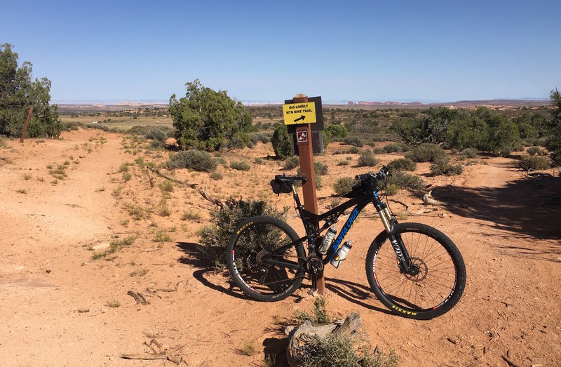 At the intersection of Big Lonely and Coney Island, this part of CI was originally a jeep rd but soon turns to singletrack.