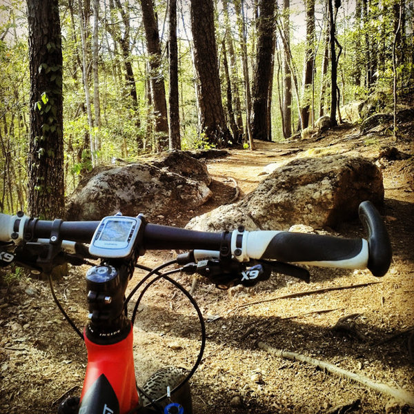 Big boulders on the Mountain Creek Trail at Paris Mountain State Park