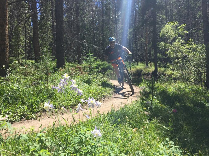 The CO state flower and a sick shredder; great combo.