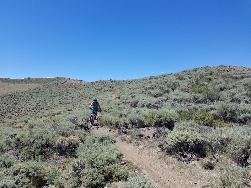 Railing the flow downhill.