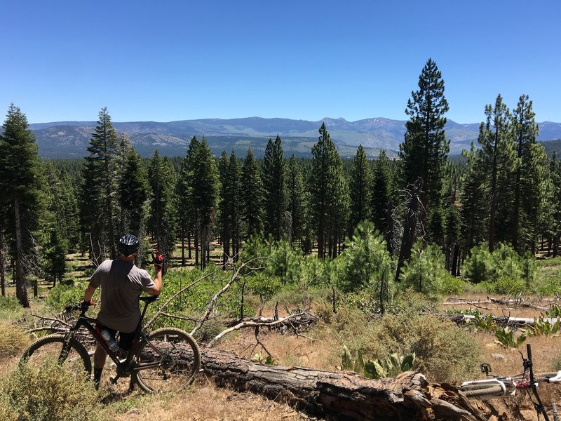 Emigrant Trail, Tahoe National Forest.