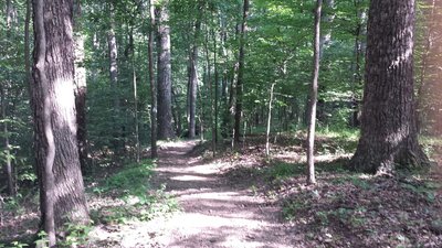 Trail is new and wide with no roots or stones.