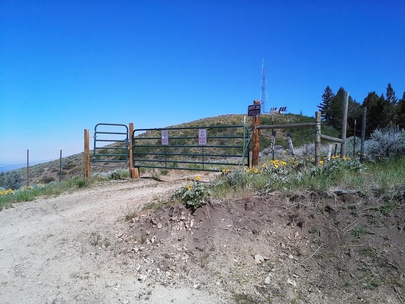 Lucky Peak from the Bird Shack and gate.