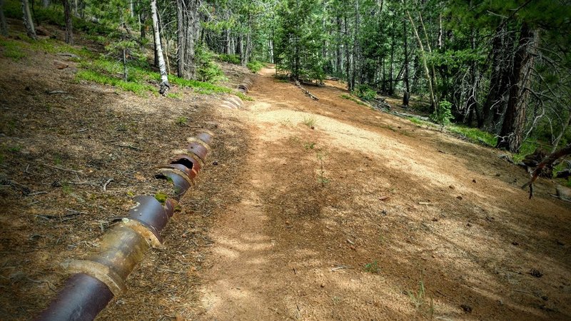 The pipeline of Pipeline Trail.