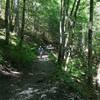 Some easy cruising in the woods on the way down from Gimmelwald.