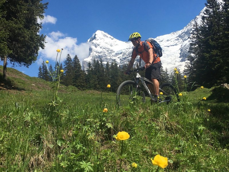 Cruising down in front of the Eiger.