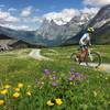 Above Grindelwald and the Wetterhorn in the distance.