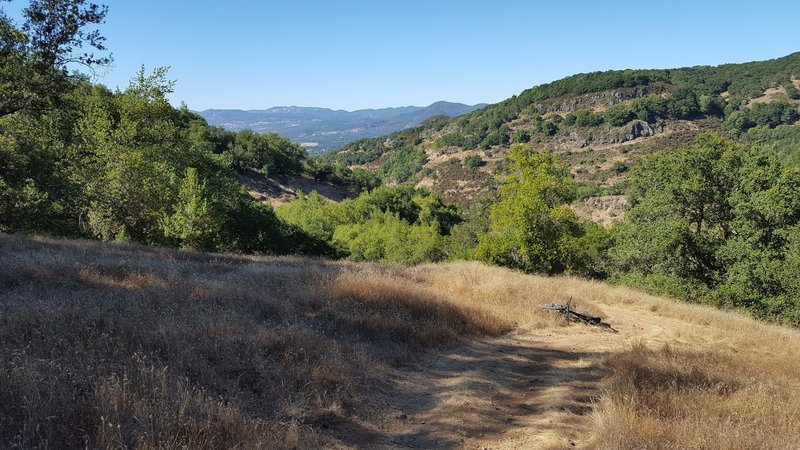 Skyline Trail Viewpoint.