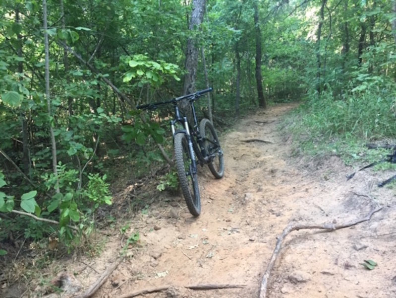 Nice singletrack on Loop 5 just before the upcoming and technical rock gardens.