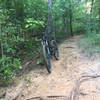 Nice singletrack on Loop 5 just before the upcoming and technical rock gardens.