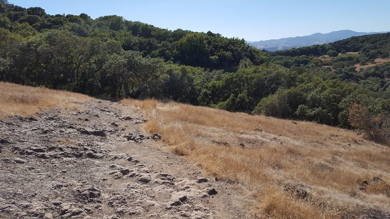 Rocky now... steep later -- on Skyline Trail.