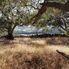 Ancient stone walls near Skyline Trail.