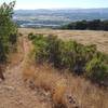 A moment of smooth sailing--on Skyline Trail.