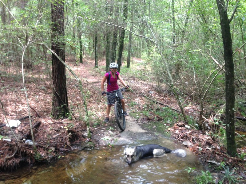 May have a small water crossing on this amazing trail.