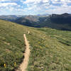 Once you make it down to this meadow, the trail mellows out for a bit and amazing great views.