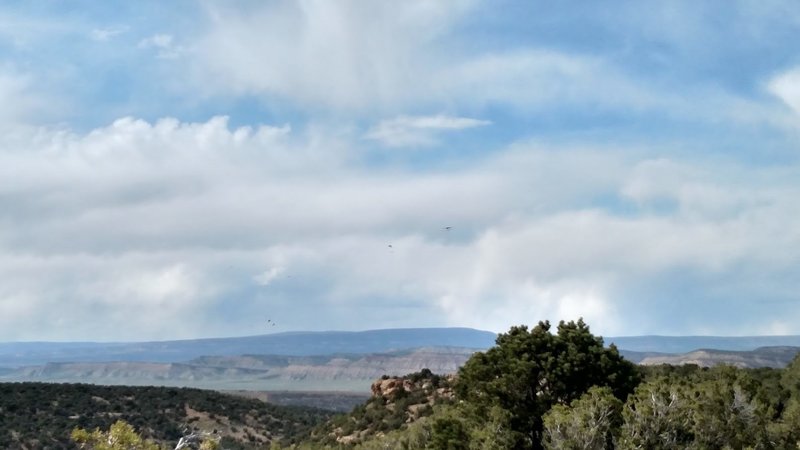 Watching the eagles play in the thermals from one of the camping spots along the trail.