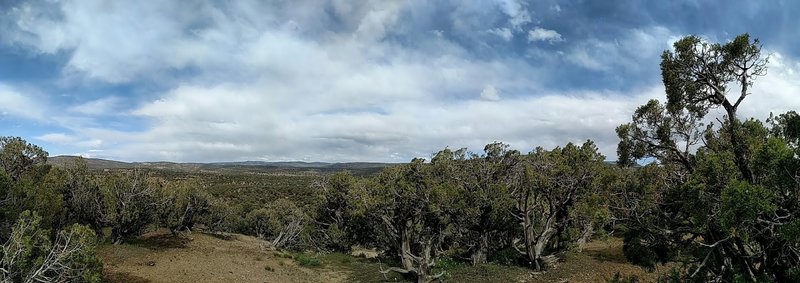 Panorama shot from trailside.