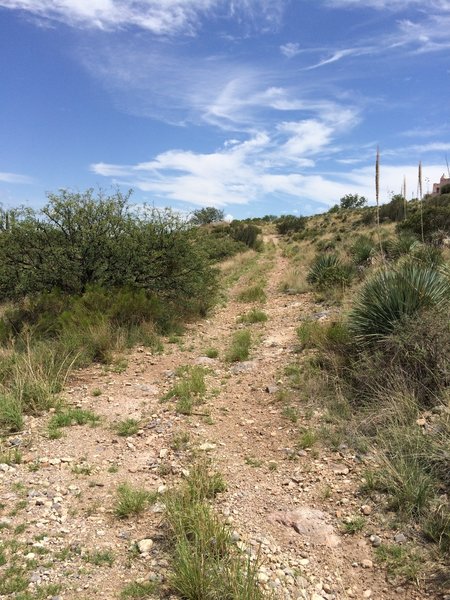 Challenging climb from the bottom of the Astro Trail.