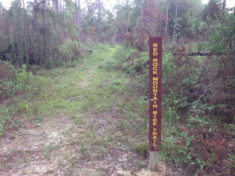 Trail entrance about 100 yards west of Juniper Creek.