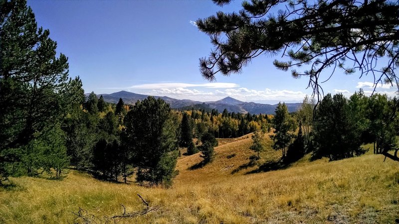 Beautiful pine and aspen groves mix with alpine meadows.