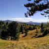 Beautiful pine and aspen groves mix with alpine meadows.