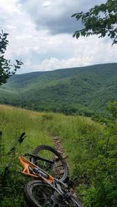 Meadow from Horton into Judy Springs