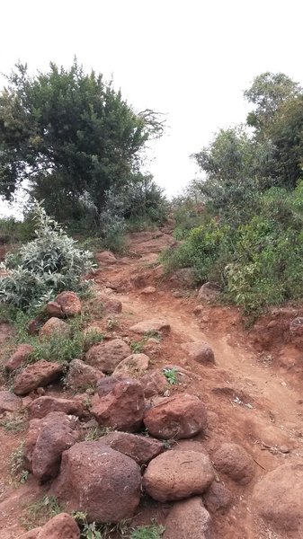 The rocky singletrack descent.