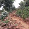 The rocky singletrack descent.