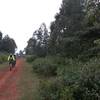 Great singletrack at the edge of the forest.