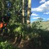 Shredding through blue skies and aspens.