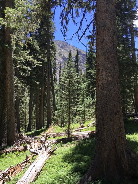 South side of range, on the southern side of Wheeler Peak, lots of switchbacks ahead